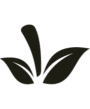 Azerfruit